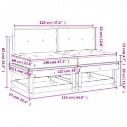 Mittelsofas mit Kissen 2 Stk. Massivholz Douglasie