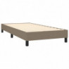 Boxspringbett mit Matratze & LED Taupe 100x200 cm Stoff