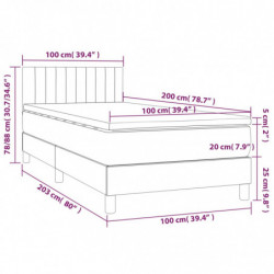 Boxspringbett mit Matratze & LED Taupe 100x200 cm Stoff