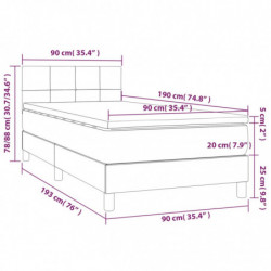 Boxspringbett mit Matratze & LED Taupe 90x190 cm Stoff